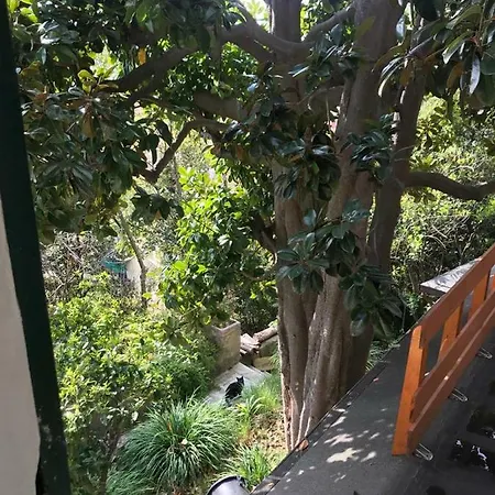 Casa Bosco Mare Homestay szállás